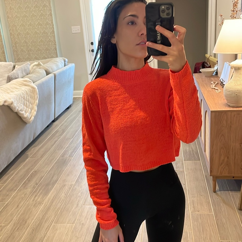 Wild Fable Crop Sweater